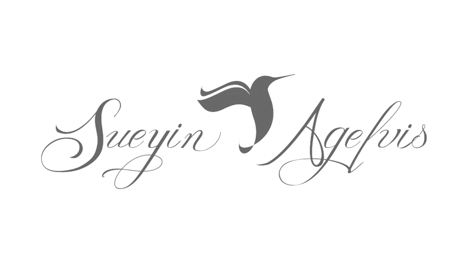 Sueyin Agelvis Luxury Real Estate Mexico